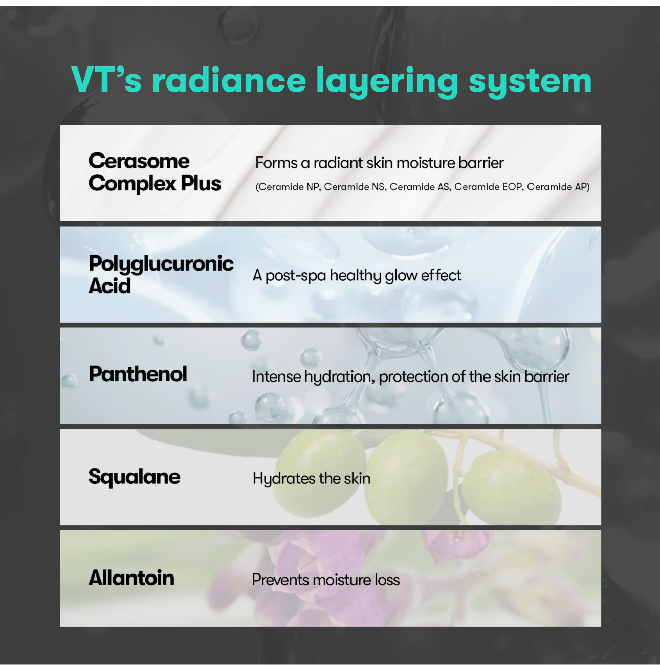 vt Reedle PDRN 100 Essence